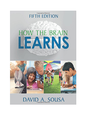 MTI 524 - How the Brain Learns